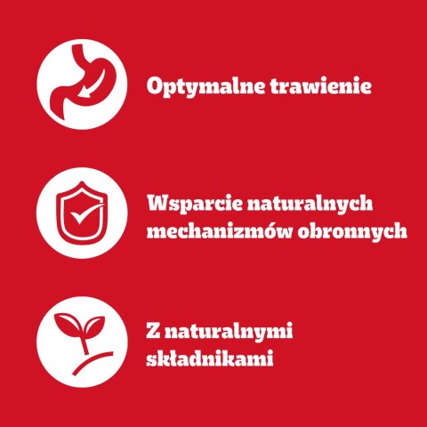 Pedigree Mokra Karma Dla Dorosłych Psów Z Kurczakiem I Warzywami W Sosie 100g