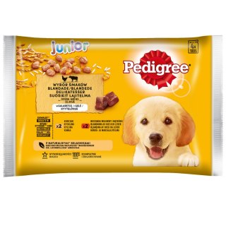 Pedigree Mokra Karma Dla Szczeniąt W Galaretce (Z Kurczakiem I Ryżem, Z Wołowiną I Ryżem) 4x100g