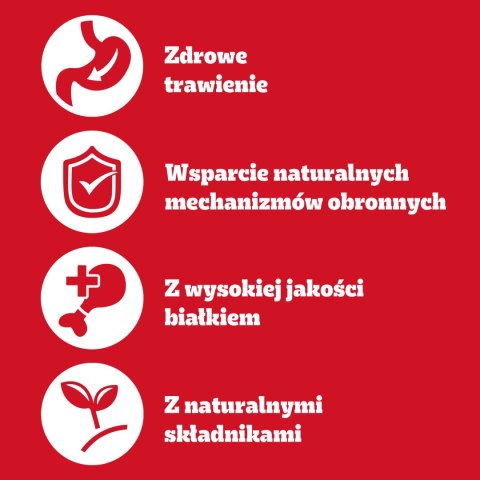 Pedigree Mokra Karma Dla Dorosłych Psów Z Wołowiną W Galarecie Puszka 400g