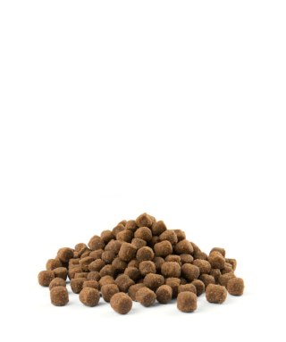 Versele-Laga Opti Life Adult Digestion Mini Z Jagnięcina I Ryżem 2,5kg